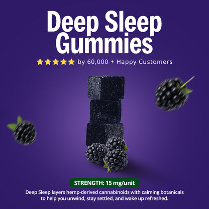 The Full Experience Bundle