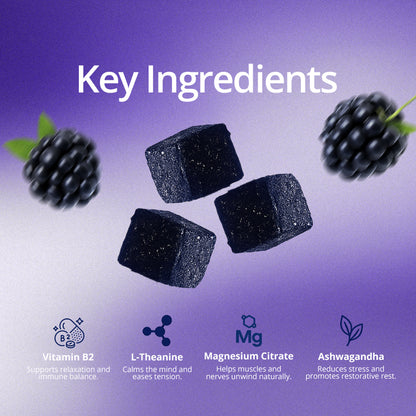 The Full Experience Bundle